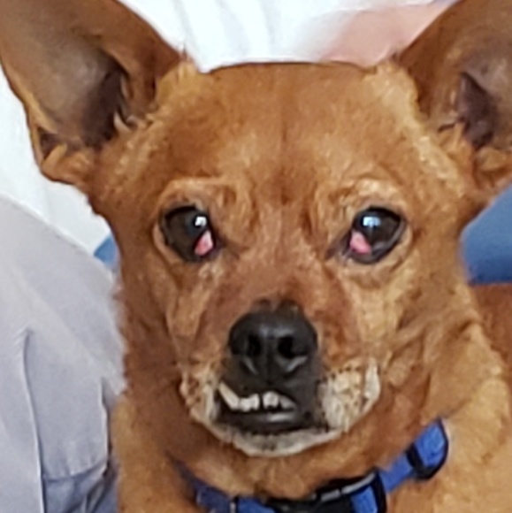 Meet your Posher, Kim - Picture 1 of 1